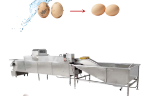 h351cd16ea63c4bd4880ebfc26581af2cp