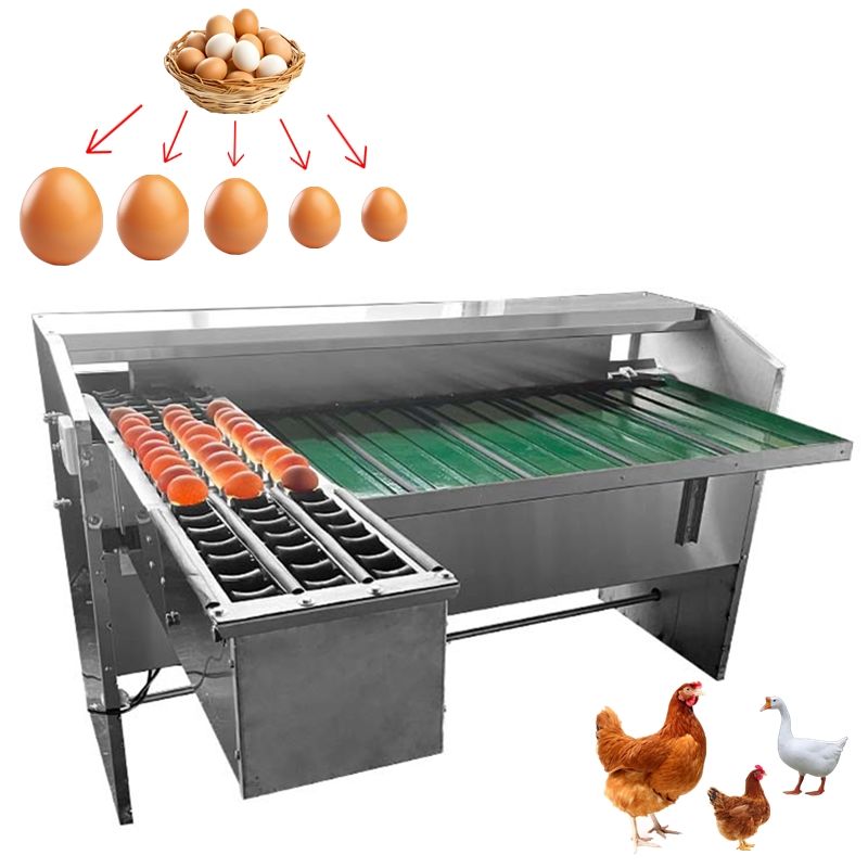 h35cca125f7e9452186751d28905e4d2ft