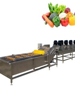 hỆ thỐng chẾ biẾn rau cỦ