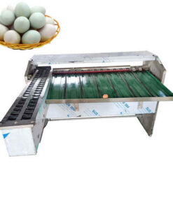 mÁy phÂn loẠi trỨng