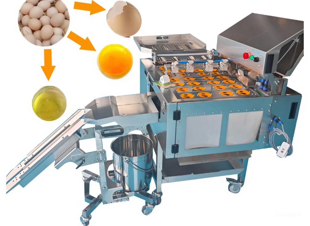 snapedit 1775186389381