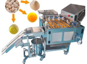 snapedit 1775186389381